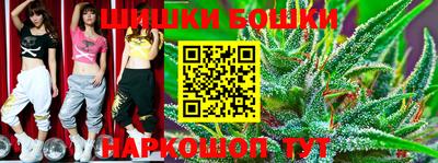 гидропоника Партизанск