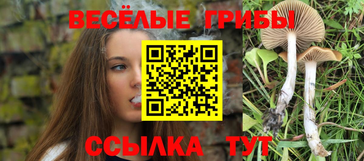 Рубцовск  Псилоцибиновые грибы Magic Shrooms  Вход с VPN 