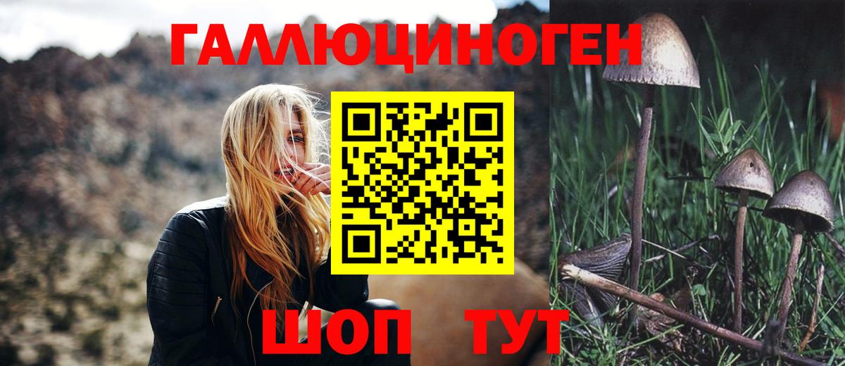 Галлюциногенные грибы Cubensis Рубцовск